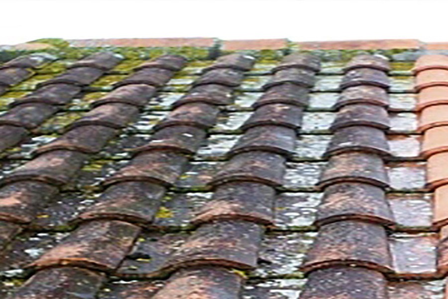 roof-1-before